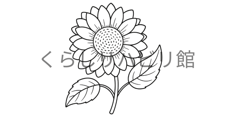 ひまわりのぬりえ（シンプル）｜一輪の花と大きな葉